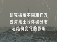 学术会议在线