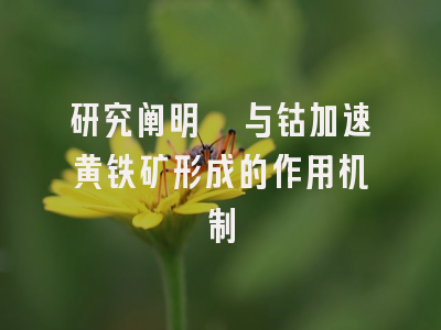 研究阐明镍与钴加速黄铁矿形成的作用机制