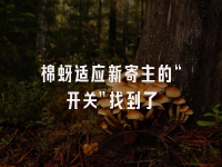 学术会议在线