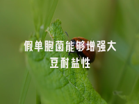 学术会议在线