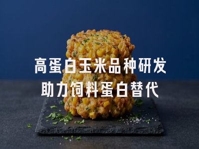 高蛋白玉米品种研发助力饲料蛋白替代