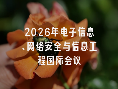 2026年电子信息、网络安全与信息工程国际会议
