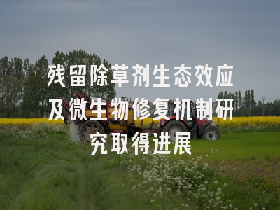 残留除草剂生态效应及微生物修复机制研究取得进展