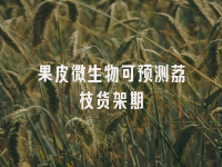 学术会议在线
