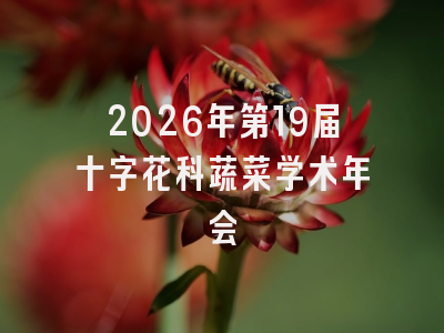2026年第19届十字花科蔬菜学术年会