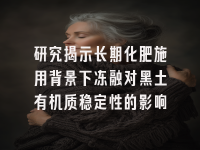 学术会议在线
