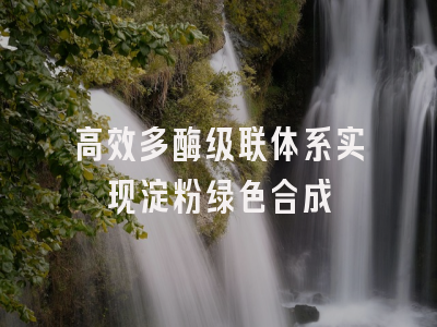 高效多酶级联体系实现淀粉绿色合成
