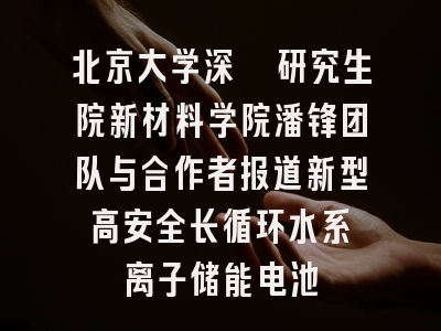 北京大学深圳研究生院新材料学院潘锋团队与合作者报道新型高安全长循环水系镁离子储能电池