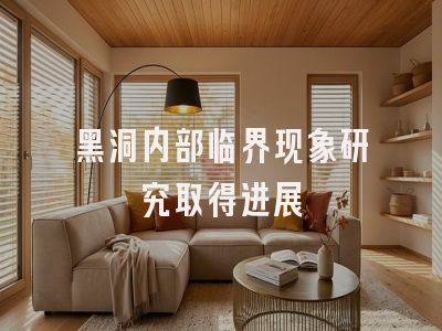 黑洞内部临界现象研究取得进展