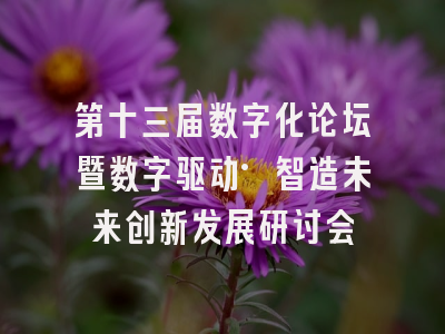 第十三届数字化论坛暨数字驱动·智造未来创新发展研讨会