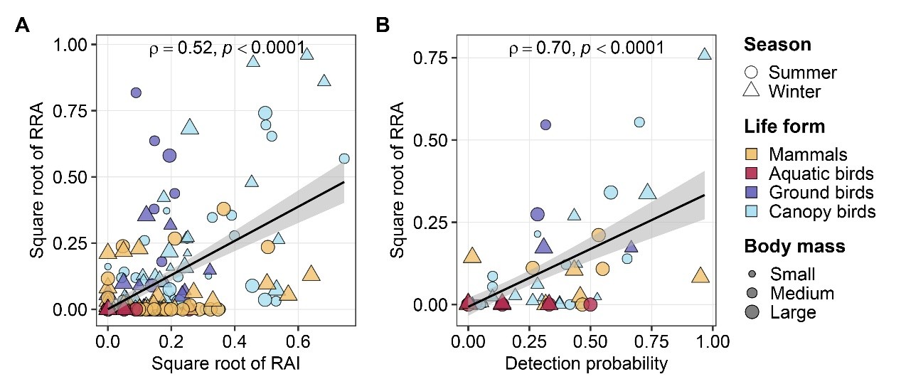 北京大学生命科学学院姚蒙研究组、李晟研究组验证土壤eDNA高效检测陆地动植物多样性