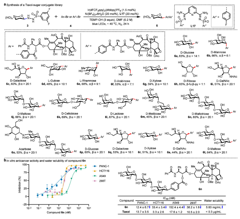上海交通大学樊洲龙/张翱课题组与华东师大陈示洁团队JACS:配体促进镍催化实现天然糖的立体选择性C1位芳基化