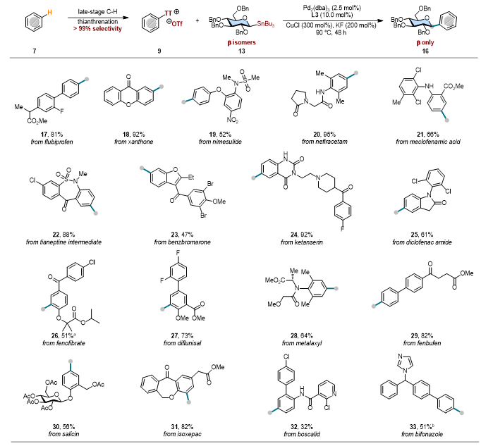 上海交大变革性分子前沿科学中心朱峰团队实现立体保持且区域选择性可控的后期C–H糖基化