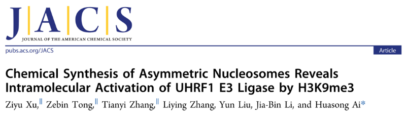 上海交大艾华松课题组JACS:化学合成不对称核小体揭示H3K9me3对UHRF1 E3 泛素连接酶的顺式激活机制