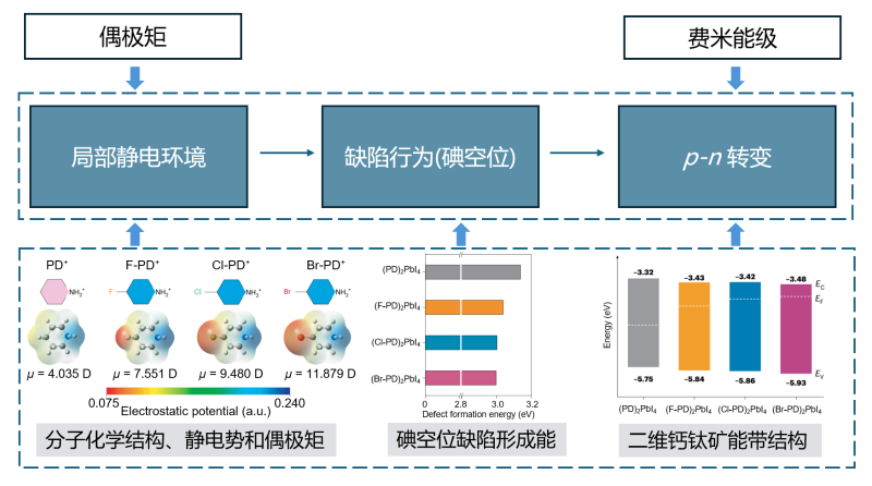 上海交大赵一新教授团队在Nature Photonics发文提出分子调控二维钙钛矿p-n类型转变并实现高效稳定钙钛矿/晶硅叠层太阳能电池