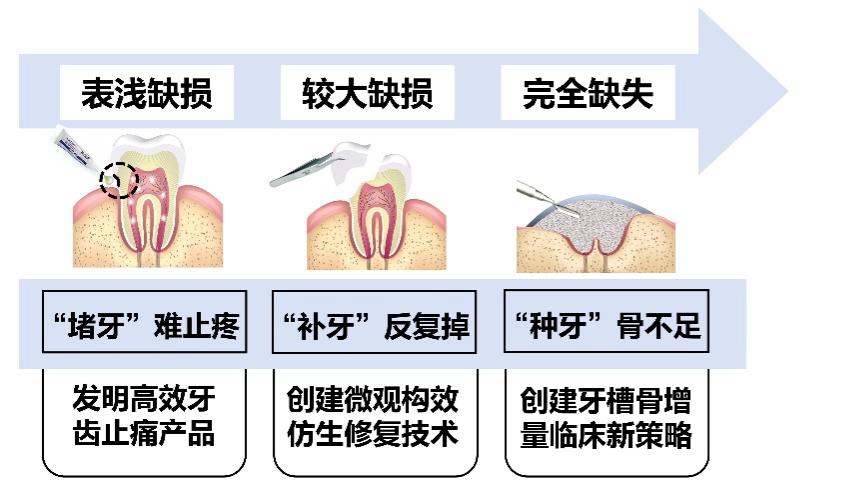 北京大学北京大学12项成果荣获2025年度国家科学技术奖