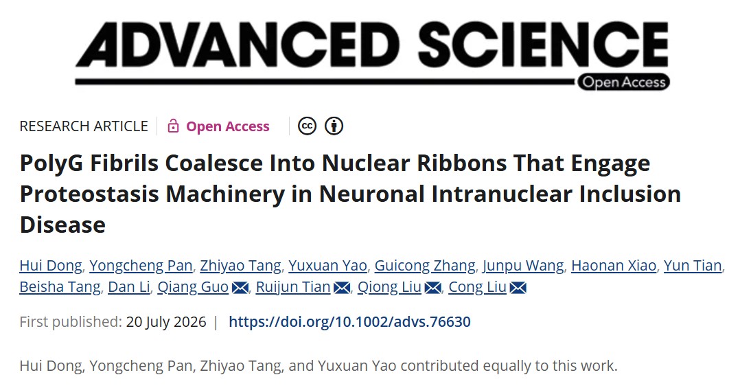 北京大学生命科学学院郭强团队与合作者揭示神经元核内包涵体病致病蛋白包涵体的原位结构多态性