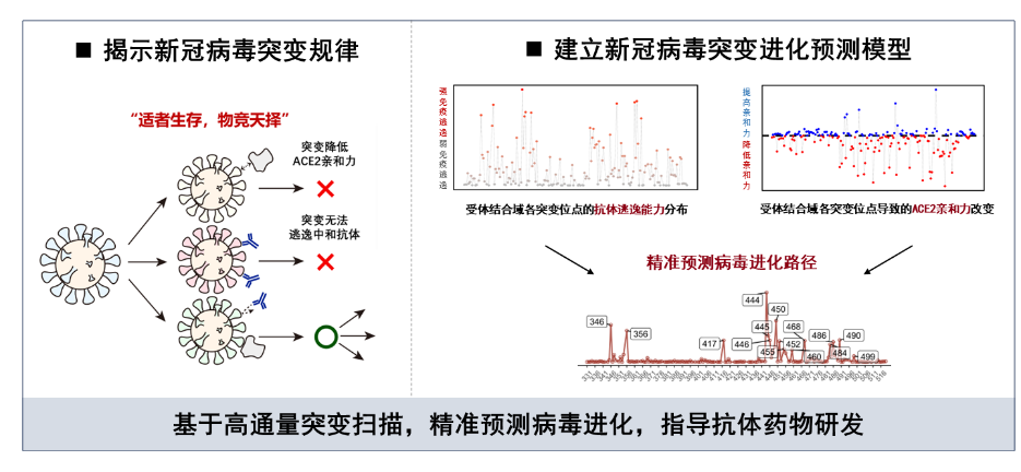 北京大学北京大学12项成果荣获2025年度国家科学技术奖