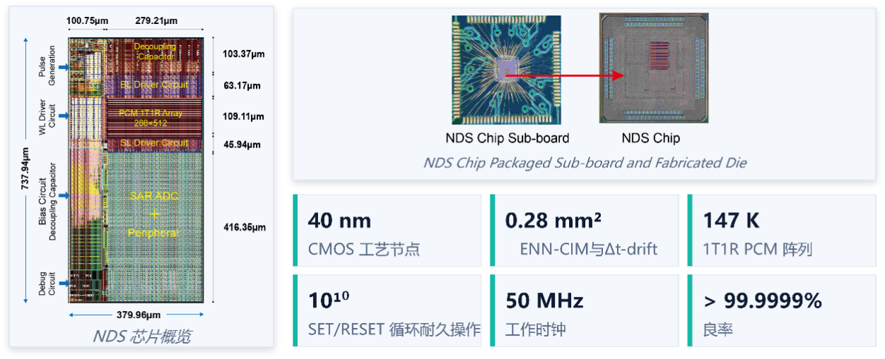 北京大学深圳研究生院信息工程学院院长杨玉超教授团队在《科学》发表新型神经动力学计算芯片领域重要突破