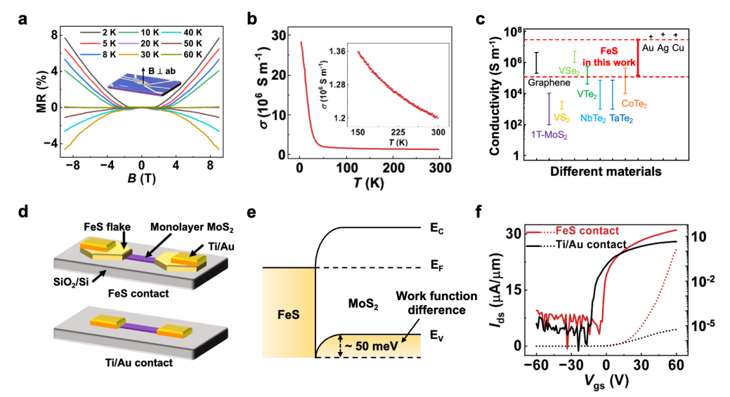 北京大学张艳锋课题组与合作者实现了二维铁基硫化物材料的可控生长,揭示了其独特的磁阻交叉效应和超高电导率