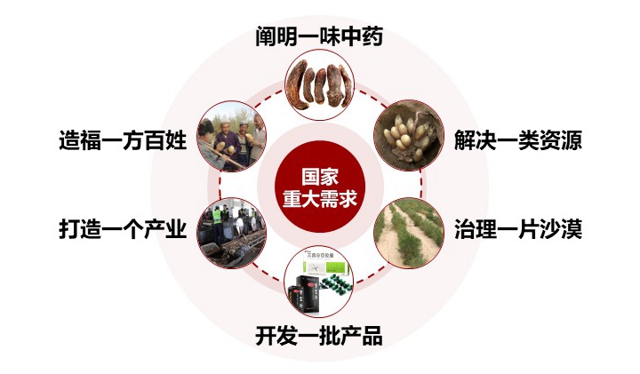 北京大学北京大学12项成果荣获2025年度国家科学技术奖