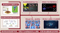 学术会议在线