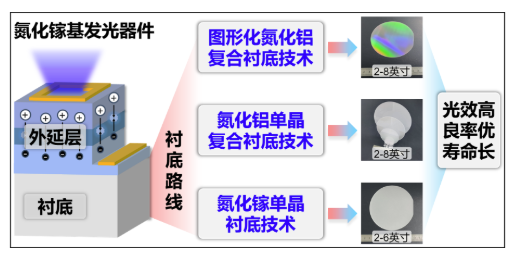 北京大学北京大学12项成果荣获2025年度国家科学技术奖