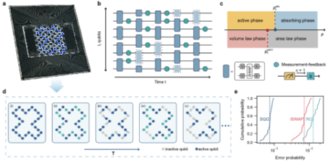 北京大学物理学院杨志成团队在超导量子处理器实现测量反馈驱动双重非平衡相变