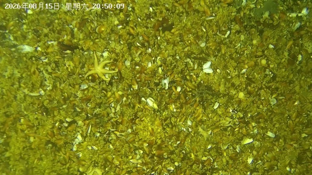 清华大学自动化系牵头研制的深海可控式可视采样器(DCVS)在东海作业圆满成功
