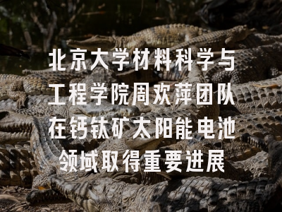 北京大学材料科学与工程学院周欢萍团队在钙钛矿太阳能电池领域取得重要进展