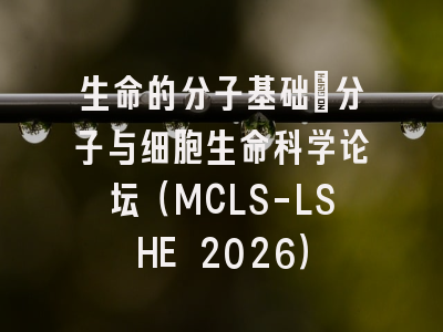 生命的分子基础:分子与细胞生命科学论坛(MCLS-LSHE 2026)