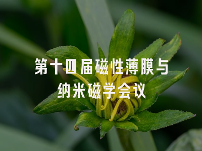 第十四届磁性薄膜与纳米磁学会议
