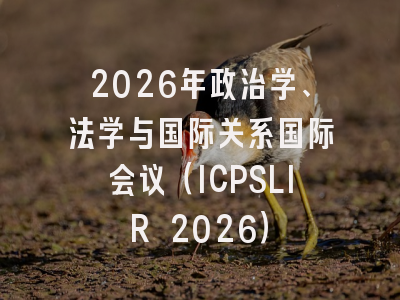 2026年政治学、法学与国际关系国际会议（ICPSLIR 2026）
