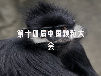 第十四届中国颗粒大会