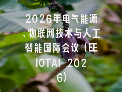 2026年电气能源、物联网技术与人工智能国际会议(EEIOTAI 2026)