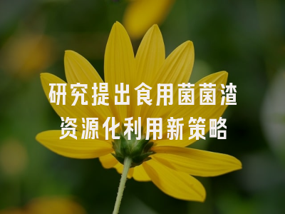 研究提出食用菌菌渣资源化利用新策略