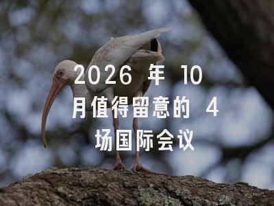2026 年 10 月值得留意的 4 场国际会议