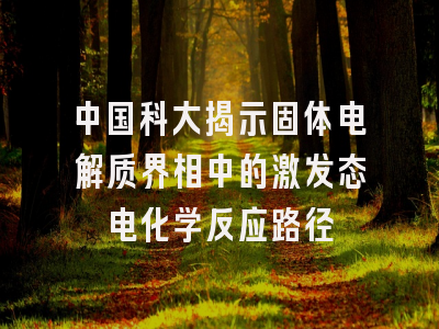 中国科大揭示固体电解质界相中的激发态电化学反应路径