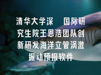 清华大学深圳国际研究生院王恩浩团队创新研发海洋立管涡激振动预报软件