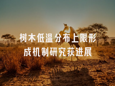 树木低温分布上限形成机制研究获进展