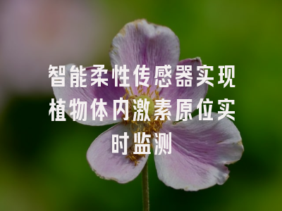 智能柔性传感器实现植物体内激素原位实时监测