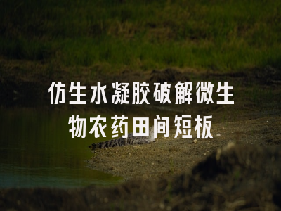 仿生水凝胶破解微生物农药田间短板