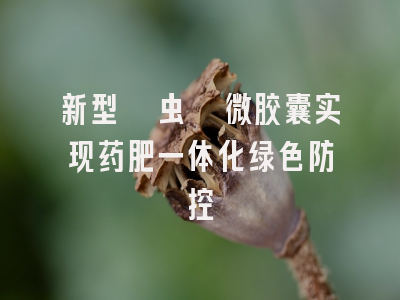 新型噻虫啉微胶囊实现药肥一体化绿色防控