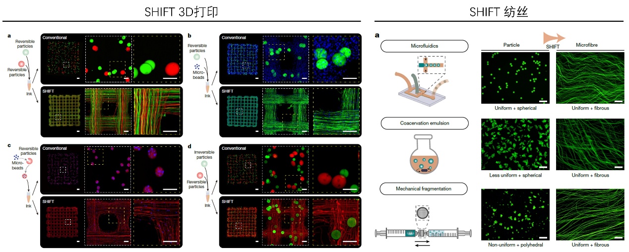 清华大学机械系欧阳礼亮课题组提出“亚体素定向纤维3D打印”新方法