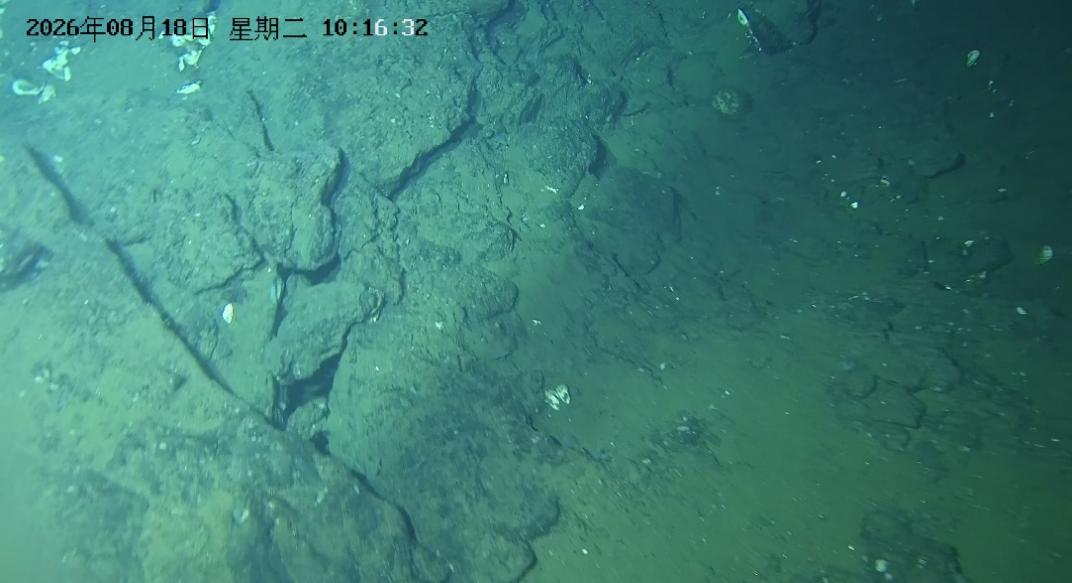 清华大学自动化系牵头研制的深海可控式可视采样器(DCVS)在东海作业圆满成功
