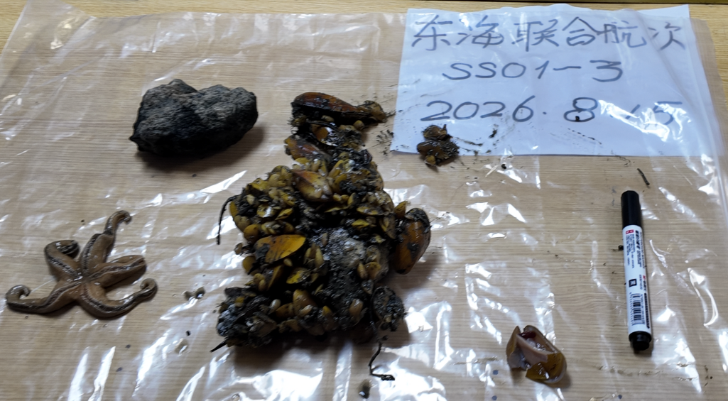 清华大学自动化系牵头研制的深海可控式可视采样器(DCVS)在东海作业圆满成功