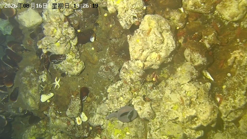 清华大学自动化系牵头研制的深海可控式可视采样器(DCVS)在东海作业圆满成功