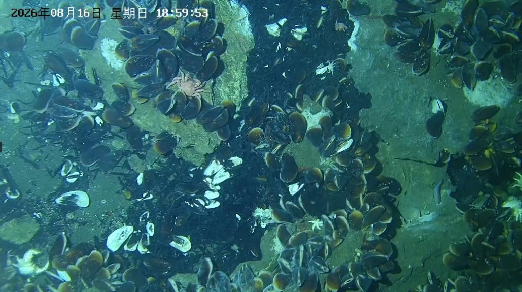 清华大学自动化系牵头研制的深海可控式可视采样器(DCVS)在东海作业圆满成功