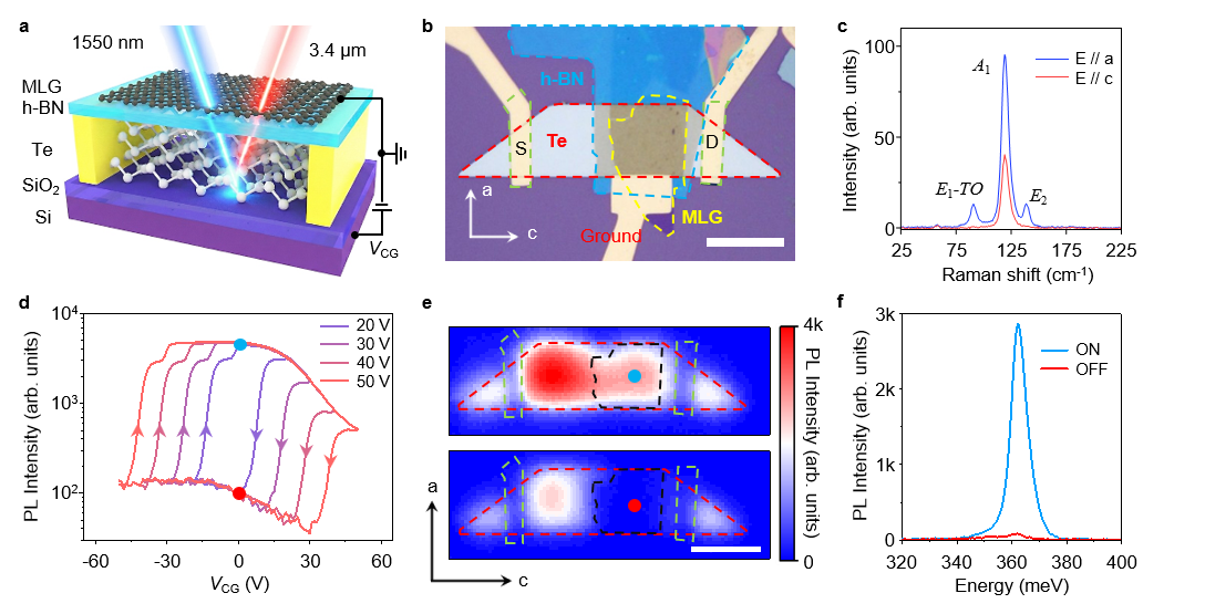 北京大学物理学院孙栋团队实现新型碲基超快浮栅存储器中红外光学存内计算