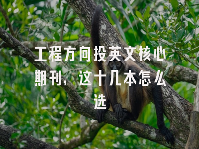 工程方向投英文核心期刊，这十几本怎么选